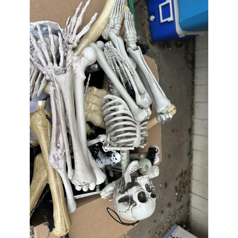 Skeleton Halloween Lot t-22