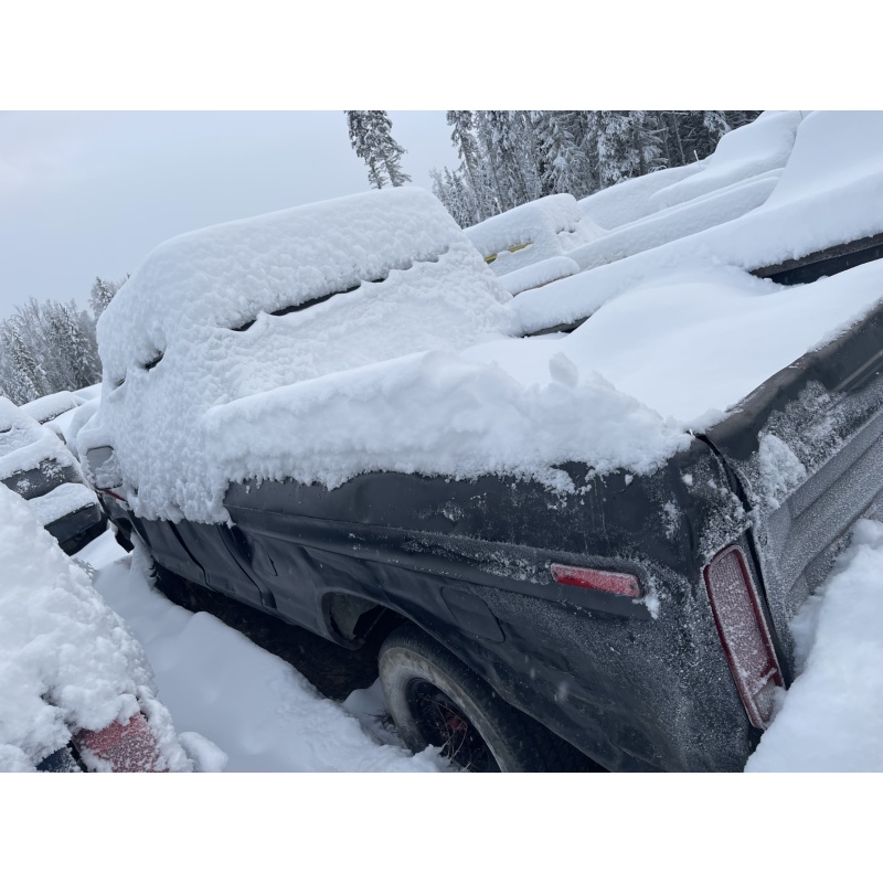 1978 FORD F250 IMPOUNDED